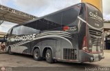 Cootransbol Ltda 31000, por Joseph Puello