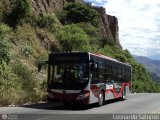 Trolmerida - Tromerca 07, por Leonardo Saturno