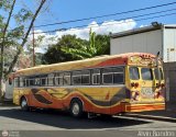 Transporte Guacara 0010, por Alvin Rondn