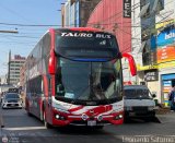 Grupo Laes (Per�) 480