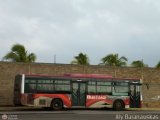 Bus Anzotegui 1304