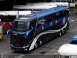 Terminales David Panam 43