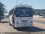 Colectivos La Rosita 008