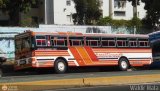 Transporte Carache 03