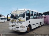Transporte Bedford 37, por Sebastin Mercado