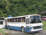 Particular o Transporte de Personal 036