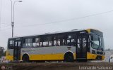 Per Bus Internacional - Corredor Amarillo 2049 Modasa Titn Corredor Agrale MA 17.0