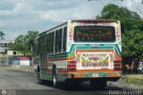 Transporte El Esfuerzo 34