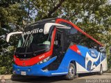 Expreso Brasilia 10447