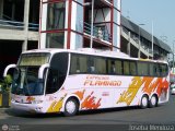 Expresos Flamingo 80 Marcopolo Paradiso G6 1200 Volvo B10R