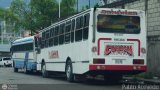 Transporte Bonanza 0022