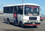 ZU - Los Claveles 29, por Angel Delgado