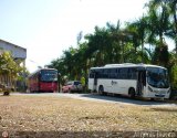 Uso Oficial CAVIM-01 Neobus Spectrum City  