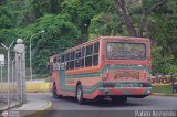 Transporte El Esfuerzo 31