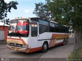 Particular 23 CAndinas - Carroceras Andinas U1300 Pegaso 5231