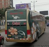 Cetur S.R.L. 950