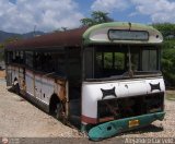 En Chiveras Abandonados Recuperaci�n Transporte Fatima por Alejandro Curvelo