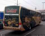 Cetur S.R.L. 967, por Leonardo Saturno