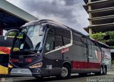 Aeroexpresos Ejecutivos 1146