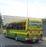 Transporte Palo Negro La Morita 2 092