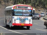 Colectivos Guayas S.A. 052, por Pablo Acevedo