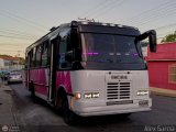 Unin Conductores Santa Ins 10