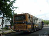 Transporte Guacara 0015, por Jesus Valero