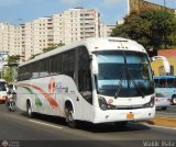 Transporte Ftima 101