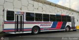 Expresos Pegamar 0006