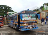 Particular o Transporte de Personal 11 Encava Culebra Ciega Blue Bird Diesel 01