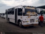 L�nea Altagracia 01 por Aaron Rodr�guez