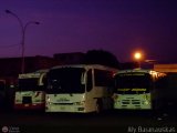 Garajes Paradas y Terminales Maracay, por Aly Baranauskas