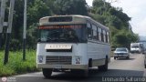 Coop. Santa Rosa 515 R.L. 24, por Leonardo Saturno