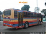 Expresos Delicias 33