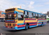 Transporte Guacara 0030