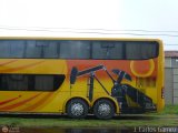 Transporte Clavellino 050