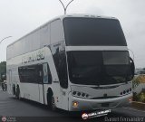 Expresos Flamingo 0090
