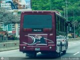 A.C. de Transporte Encarnaci�n 086, por Pablo Acevedo