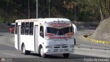 A.C. de Transporte Nmero Uno R.L. 028