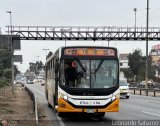 E.T. Urbano Lnea 4 S.A. (Per) 313
