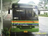 Metrobus Caracas 801