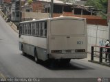 MI - Transporte Paran 021, por Alfredo Montes de Oca