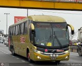 Transporte Flores Hermanos S.R.L (Per) 951