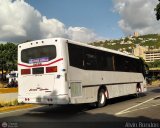 Transporte Bonanza 0001, por Alvin Rondn