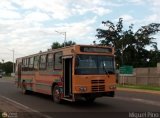 A.C.C. Turgar Express 06, por Miguel Pino