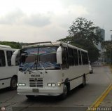 Asociacin Cooperativa R.S. Ezequiel Zamora 60, por Alvin Rondn