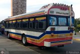 Colectivo San Rafael (El Mojn) 15