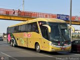 Transporte Flores Hermanos S.R.L (Per�) 951