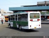 A.C. Unin Palo Negro (U.P.N.) 053