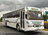 Cooperativa Canaima 12 por Alvin Rond�n